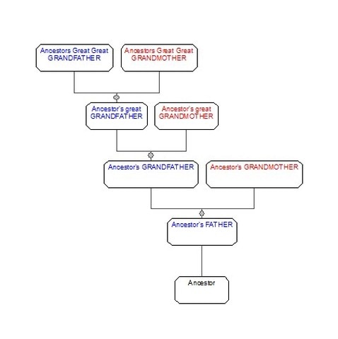 Surname genealogy tree. Family History Research England ©.