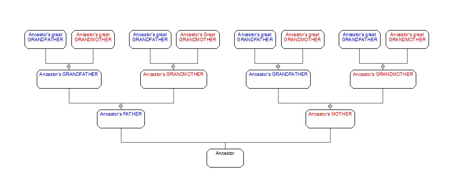 3 generation genealogy tree. Family History Research England ©.